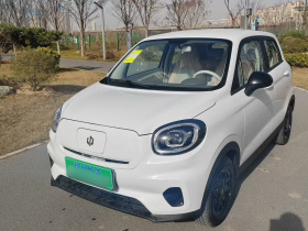 零跑汽车 零跑T03 2025款 310舒享版