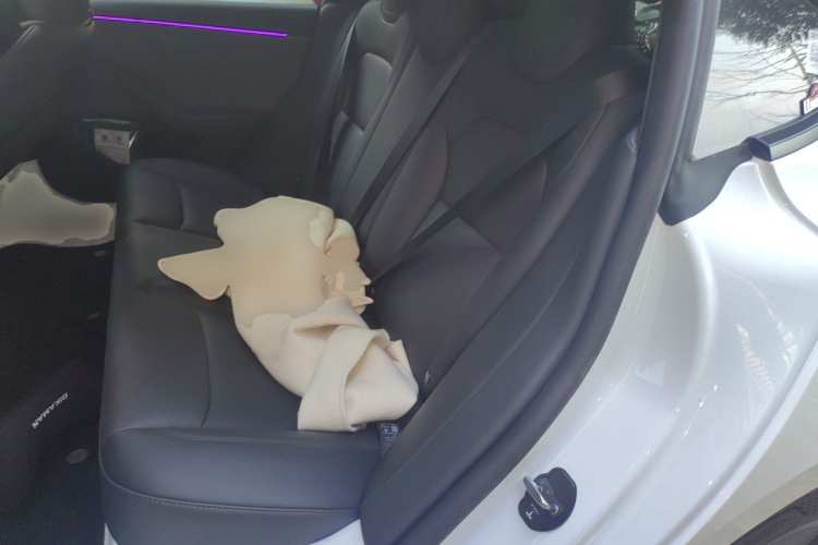 特斯拉 Model 3 2025款 后轮驱动版中控内饰21