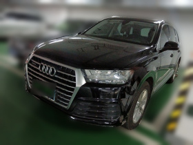 奥迪Q7 2019款 45 TFSI S line运动型