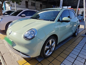 欧拉好猫 2023款 401km标准续航 尊荣型 磷酸铁锂