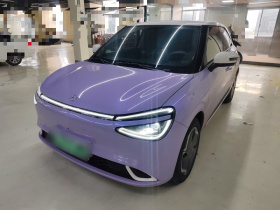 东风纳米 纳米01 2024款 330 Plus智+