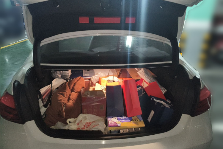 宝马3系 2018款 320Li 领先型M运动套装局部细节23