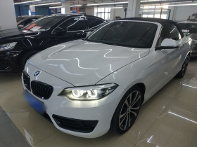 宝马2系(进口) 2019款 225i 敞篷轿跑车 运动设计套装
