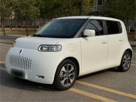 欧拉白猫 2020款 305km 豪华型