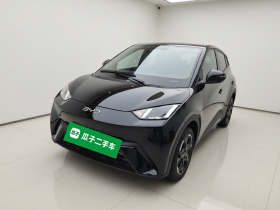 比亚迪 海鸥 2025款 405km 飞翔版