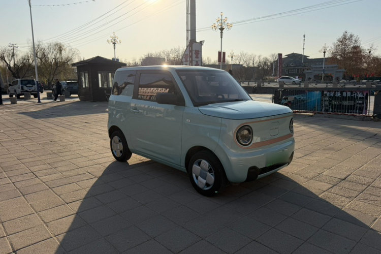 吉利银河 2024款 熊猫mini 200km 耐力熊车身外观6005