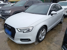 奥迪A3 2020款 改款 Limousine 35 TFSI 进取型 国VI