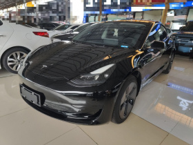 特斯拉 Model 3 2022款 后轮驱动版