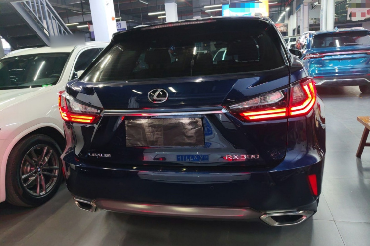 雷克萨斯RX 2016款 300 两驱精英版 国V车身外观6