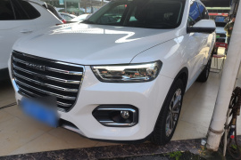 哈弗H6 2020款 1.5GDIT 自动铂金冠军版