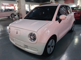 欧拉黑猫 2022款 改款 301km 萌宠版 磷酸铁锂