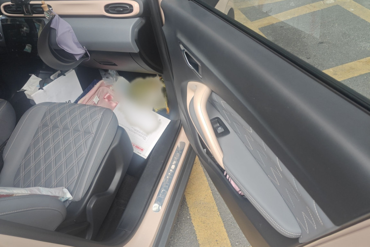 零跑汽车 零跑T03 2021款 400豪华Pro版局部细节9005