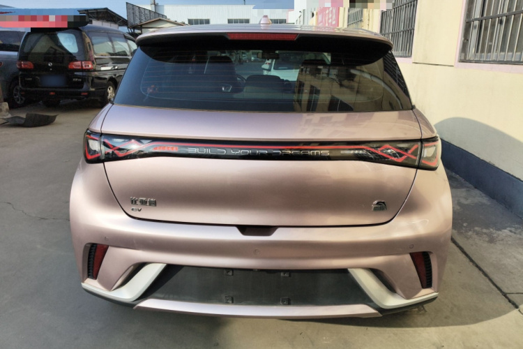 比亚迪 海豚 2021款 405km 时尚版车身外观6