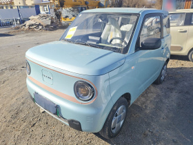 吉利银河 2024款 熊猫mini 200km 耐力熊