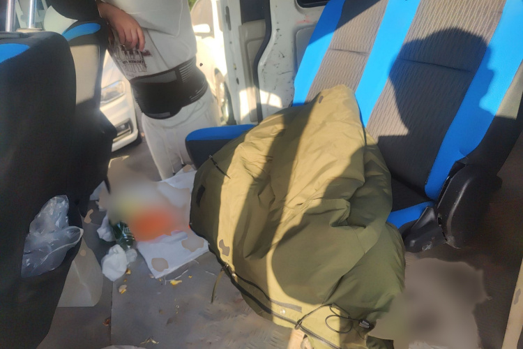 金杯 新海狮EV 2023款 舒适型中控内饰7004