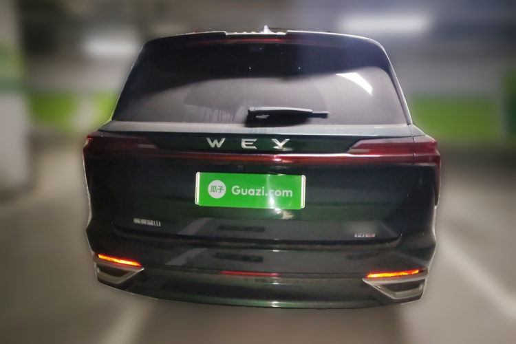 魏牌 蓝山 2025款 四驱 Max车身外观6