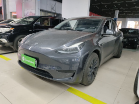 特斯拉 Model Y 2024款 后轮驱动版