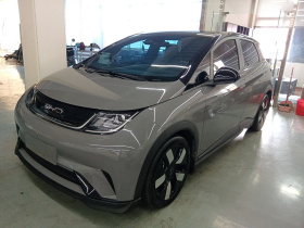 比亚迪 海豚 2021款 401km 骑士版