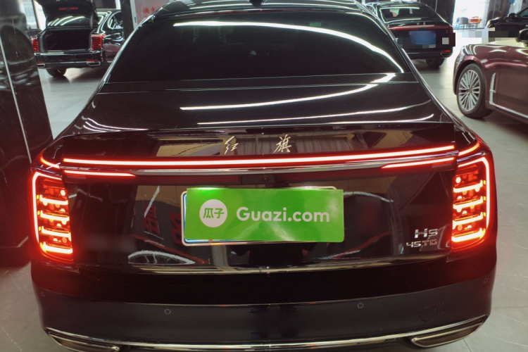 红旗H9 2025款 2.0T 两驱旗享豪华商务版 5座车身外观6
