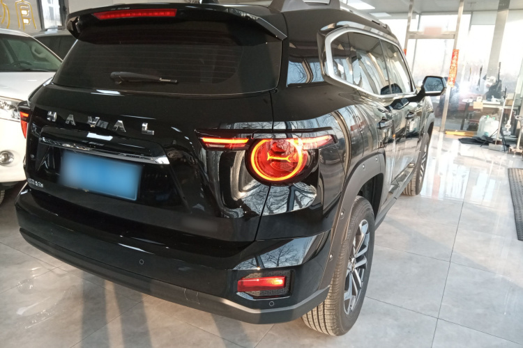 哈弗大狗 PLUS 2023款 2.0T 两驱潮野版Plus车身外观6005