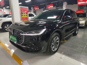 林肯 冒险家 2024款 2.0T 两驱尊享版