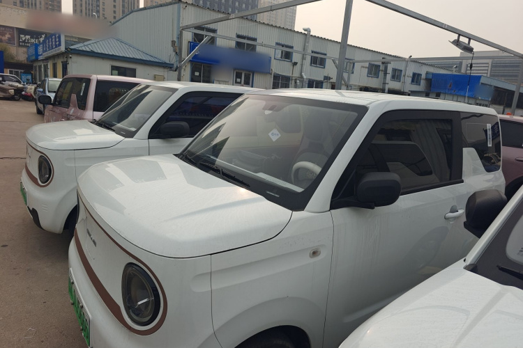 吉利银河 2024款 熊猫mini 200km 耐力熊车身外观4