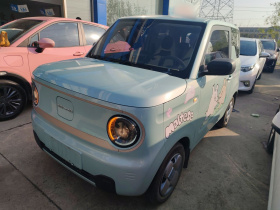 吉利银河 2023款 熊猫mini 200km 耐力熊