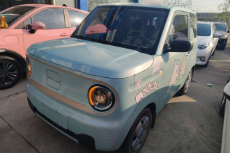 吉利银河 2023款 熊猫mini 200km 耐力熊