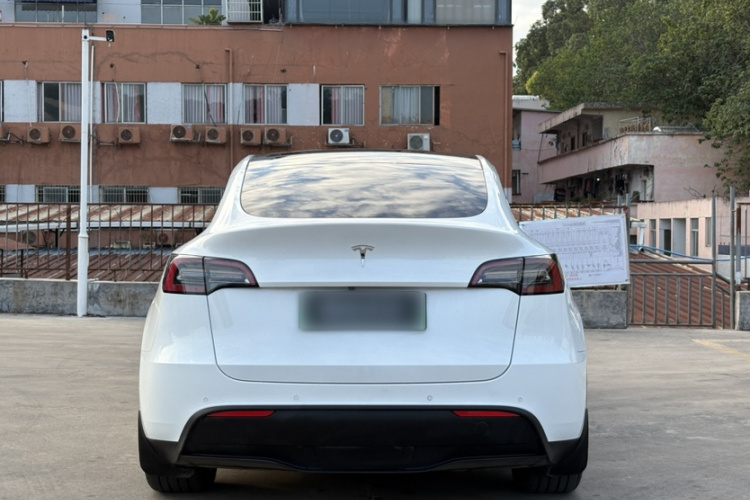 特斯拉 Model Y 2021款 标准续航后驱版车身外观6005