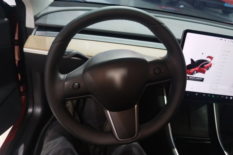 特斯拉 Model 3 2019款 标准续航后驱升级版局部细节13