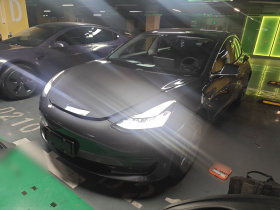 特斯拉 Model 3(进口) 2019款 长续航后驱版
