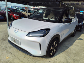 五菱汽车 五菱缤果PLUS 2024款 510km 旗舰版 四座版