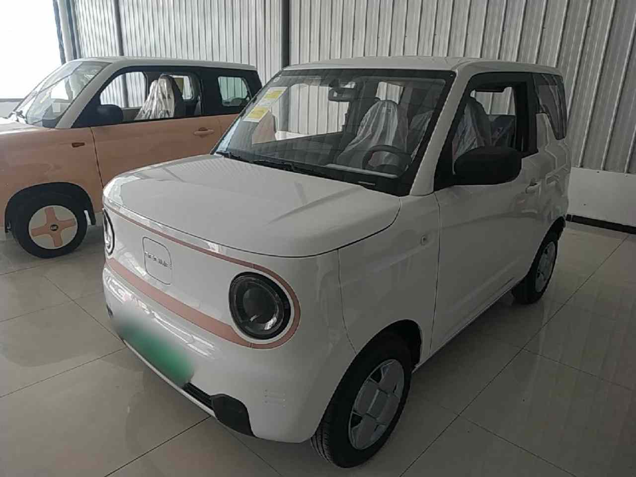 吉利银河 2024款 熊猫mini 200km 耐力熊(2)