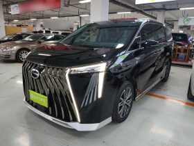 广汽传祺 传祺M8 2024款 大师系列 400T 尊贵版