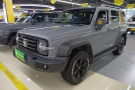 坦克300 2021款 越野版 2.0T 征服者