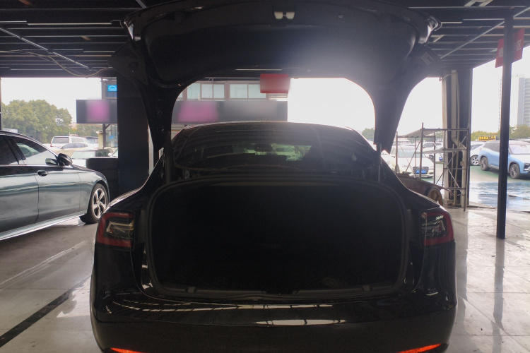 特斯拉 Model 3 2021款 标准续航后驱升级版 3D6机舱底盘23