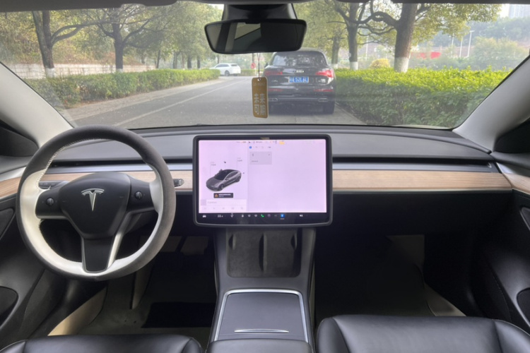 特斯拉 Model 3 2021款 标准续航后驱升级版 3D6局部细节16