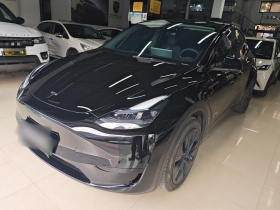 特斯拉 Model Y 2023款 后轮驱动版