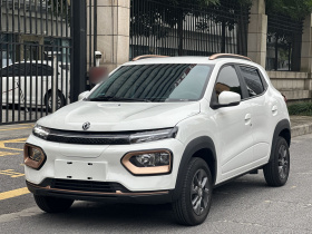 东风纳米 纳米BOX 2022款 追风版 331KM 进阶型