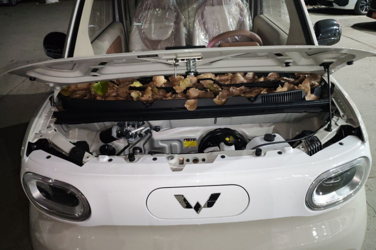 五菱汽车 宏光MINIEV 2024款 第三代 215km 青春版局部细节24