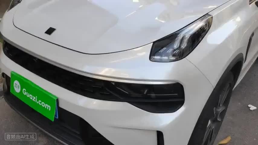 领克01 2021款 2.0TD 两驱型Pro检测视频1