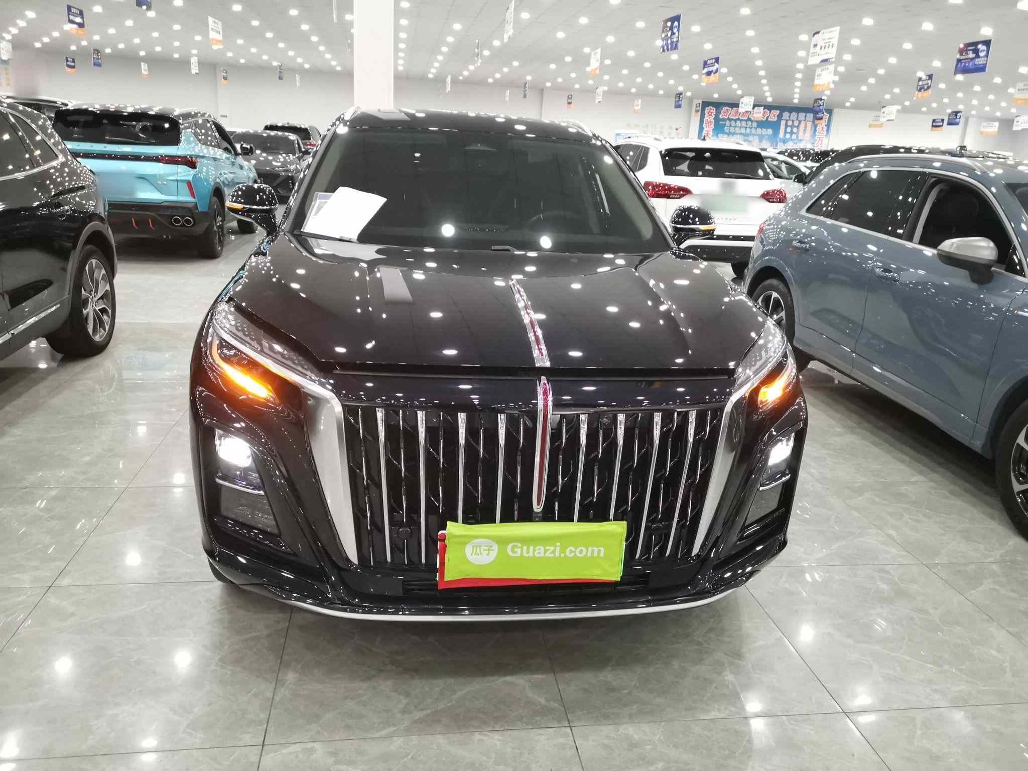 红旗HS3 PHEV 2024款 115km 劲为版(2)