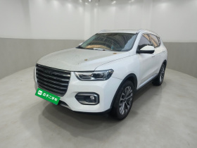 哈弗H6 2020款 1.5GDIT 自动铂金冠军版