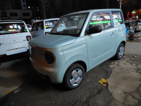 吉利银河 2024款 熊猫mini 200km 耐力熊