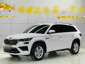 斯柯达 柯迪亚克 2024款 TSI330 5座两驱实力版