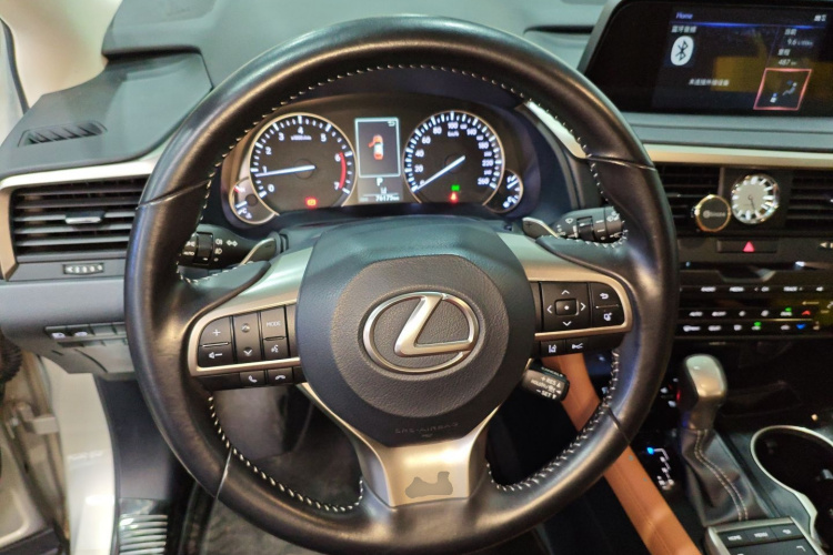 雷克萨斯RX 2020款 300 两驱舒适版 国VI局部细节13