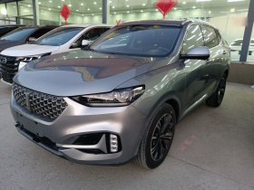 魏牌 VV6 2021款 2.0T 两驱智享+