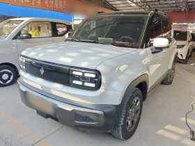 宝骏悦也Plus 2026款 301km旗舰版