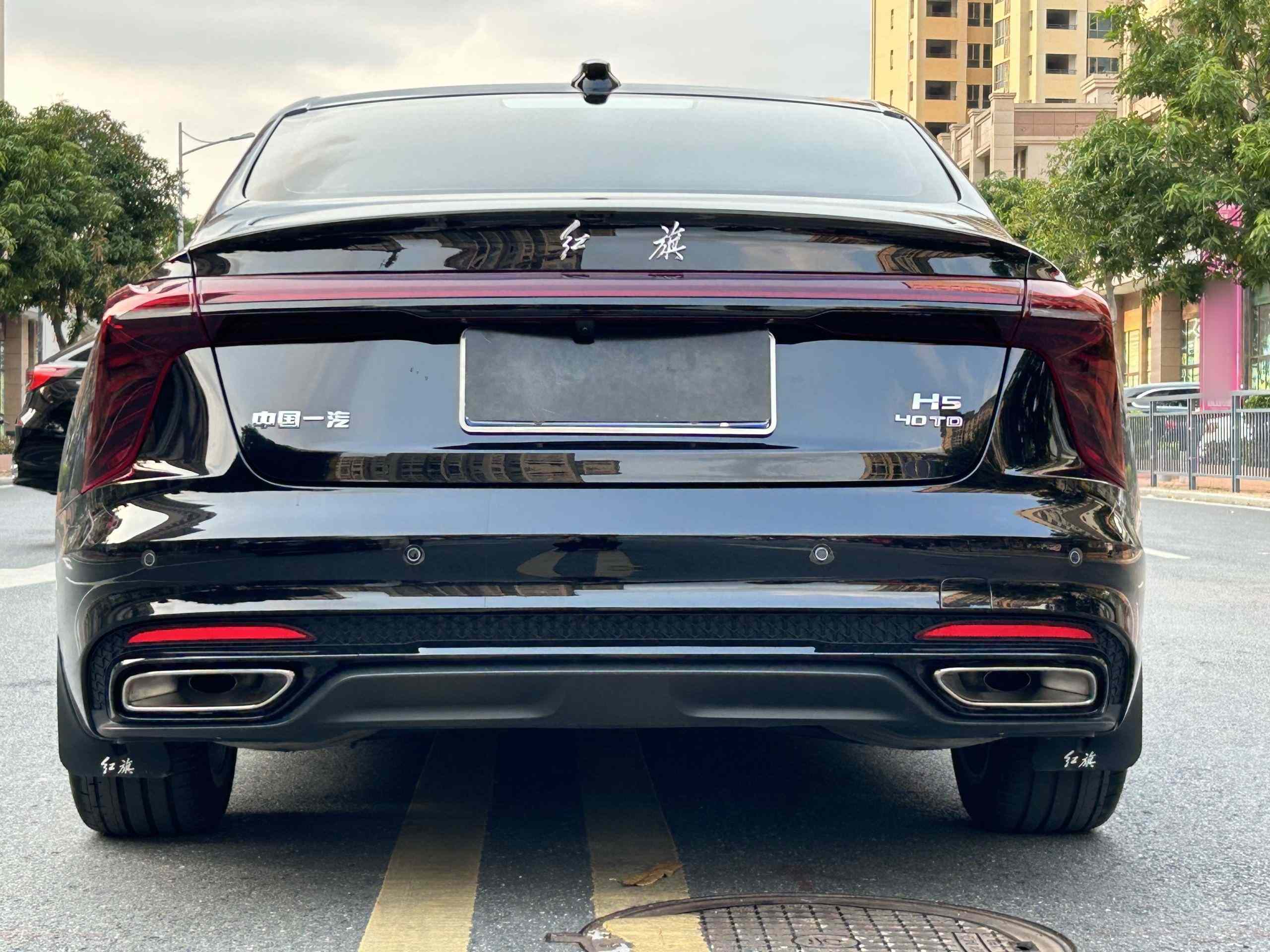 红旗H5 2025款 2.0T 自动玄影版(5)