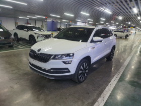 斯柯达 柯珞克 2019款 TSI280 智行豪华版 国V